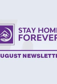 Insights and Updates: August Newsletter